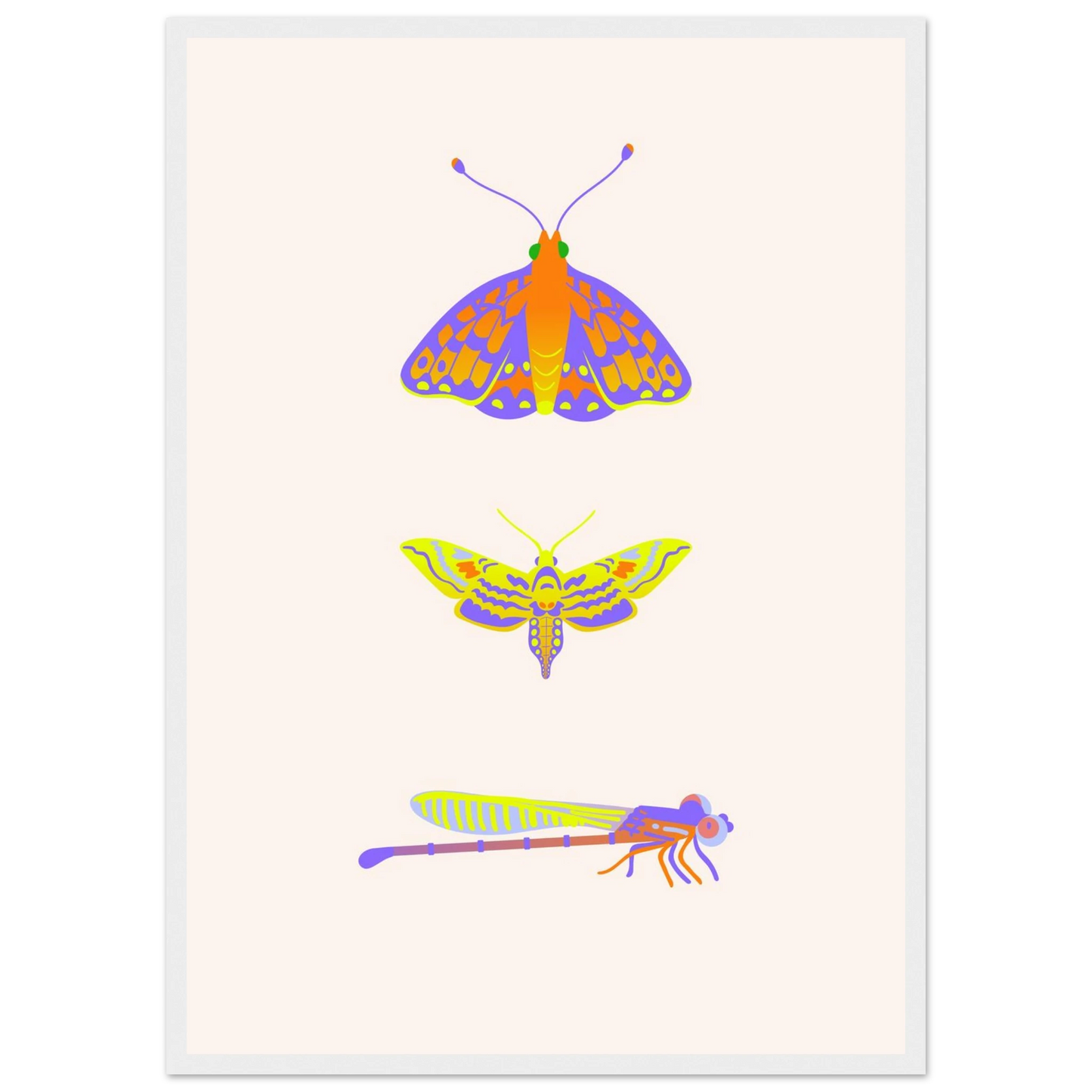 Disect art print in a Black frame size 21x29.7 cm / 8x12" affordable wall art by Art Aunty NZ