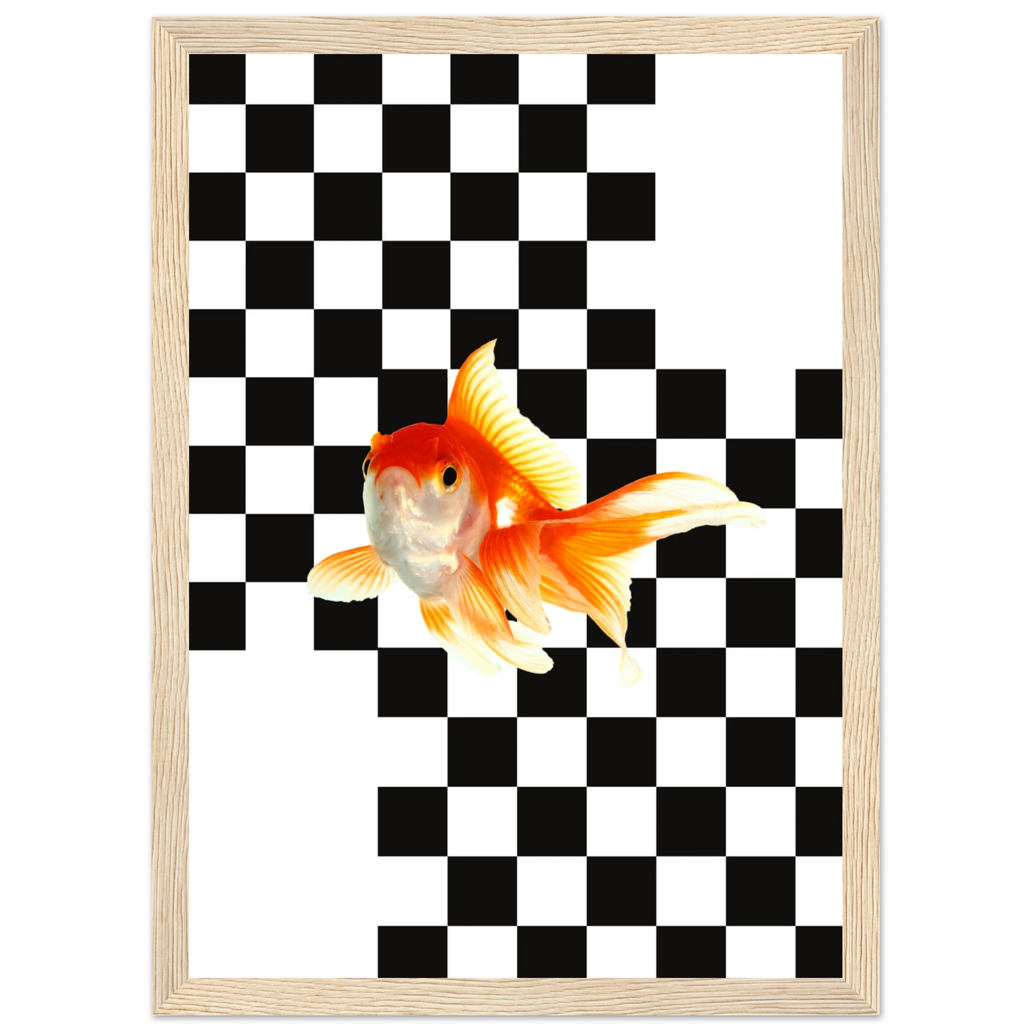 Goldfish on checkerboard splash of surreal framed art print by anya trut multiple sizes frames art print in a Black frame size 21x29.7 cm / 8x12" affordable wall art by Art Aunty NZ
