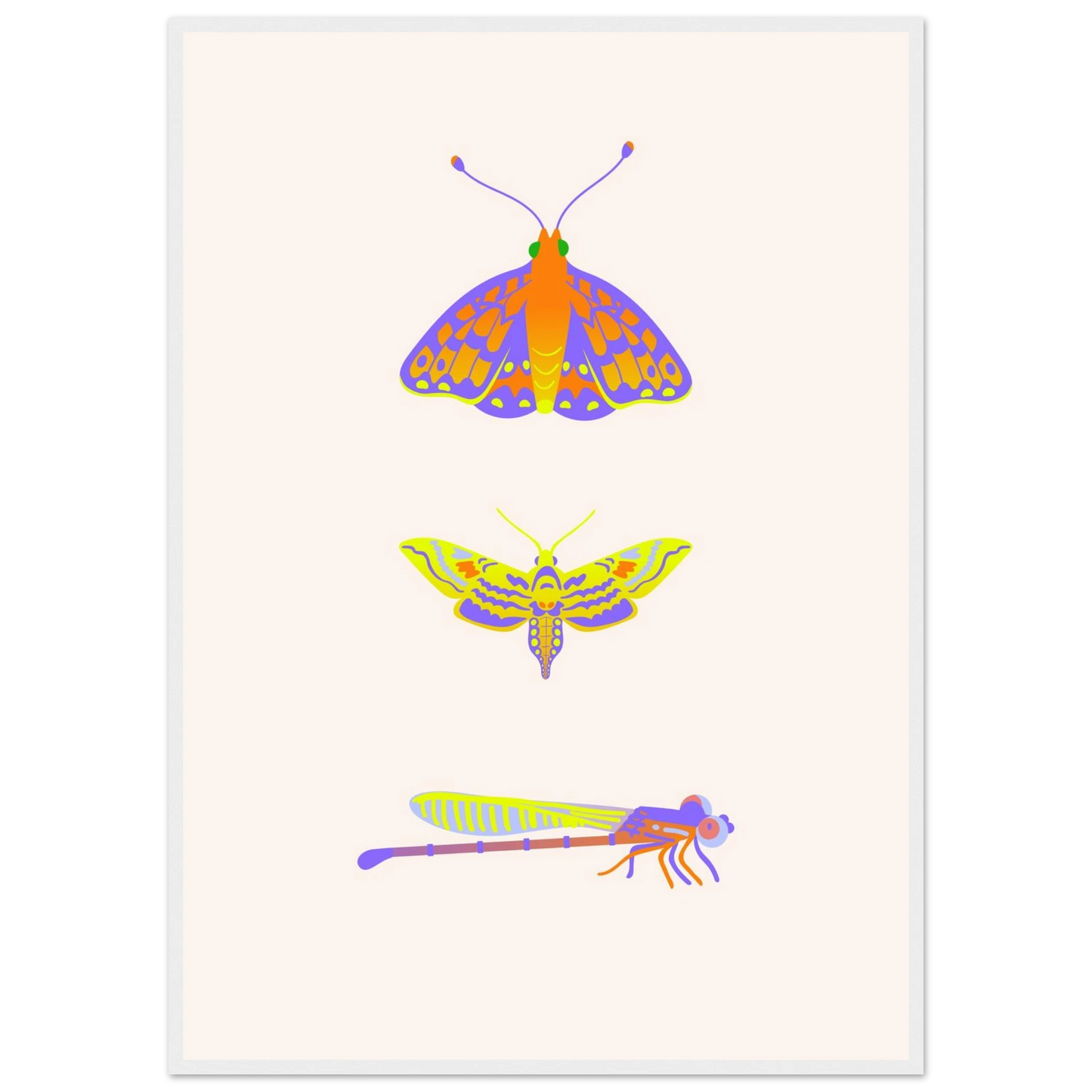 Disect art print in a White frame size 21x29.7 cm / 8x12" affordable wall art by Art Aunty NZ