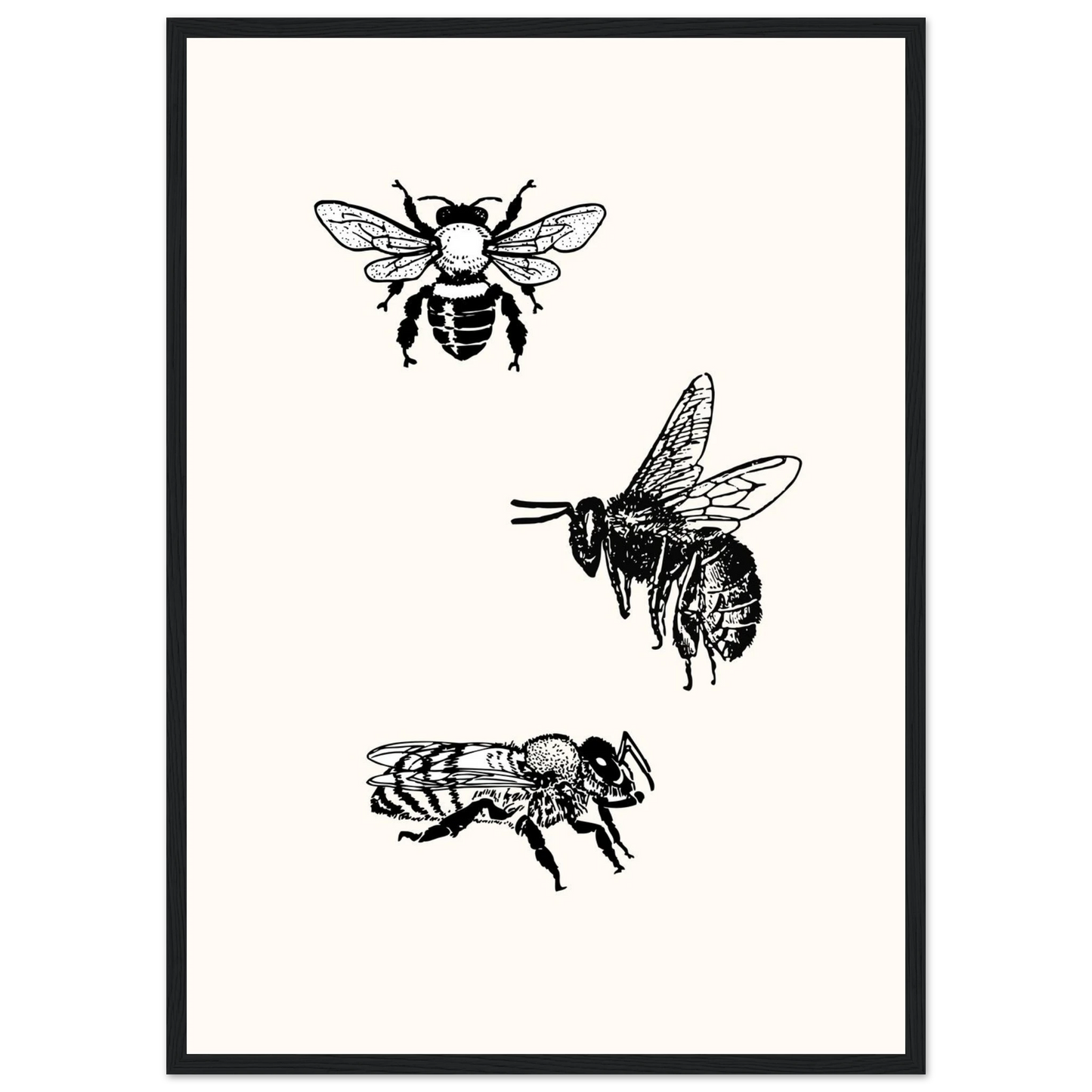 Bee mine art print in a Black frame size A1 (59.4 x 84.1  cm) affordable wall art by Art Aunty NZ