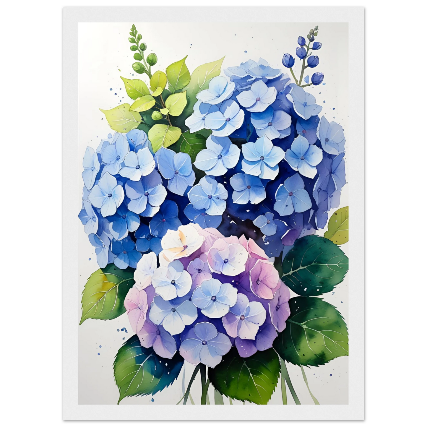 Charming blue and purple hydrangea blooms framed floral watercolor art print by anya trut art print in a Wood frame size A1 (59.4 x 84.1  cm) affordable wall art by Art Aunty NZ