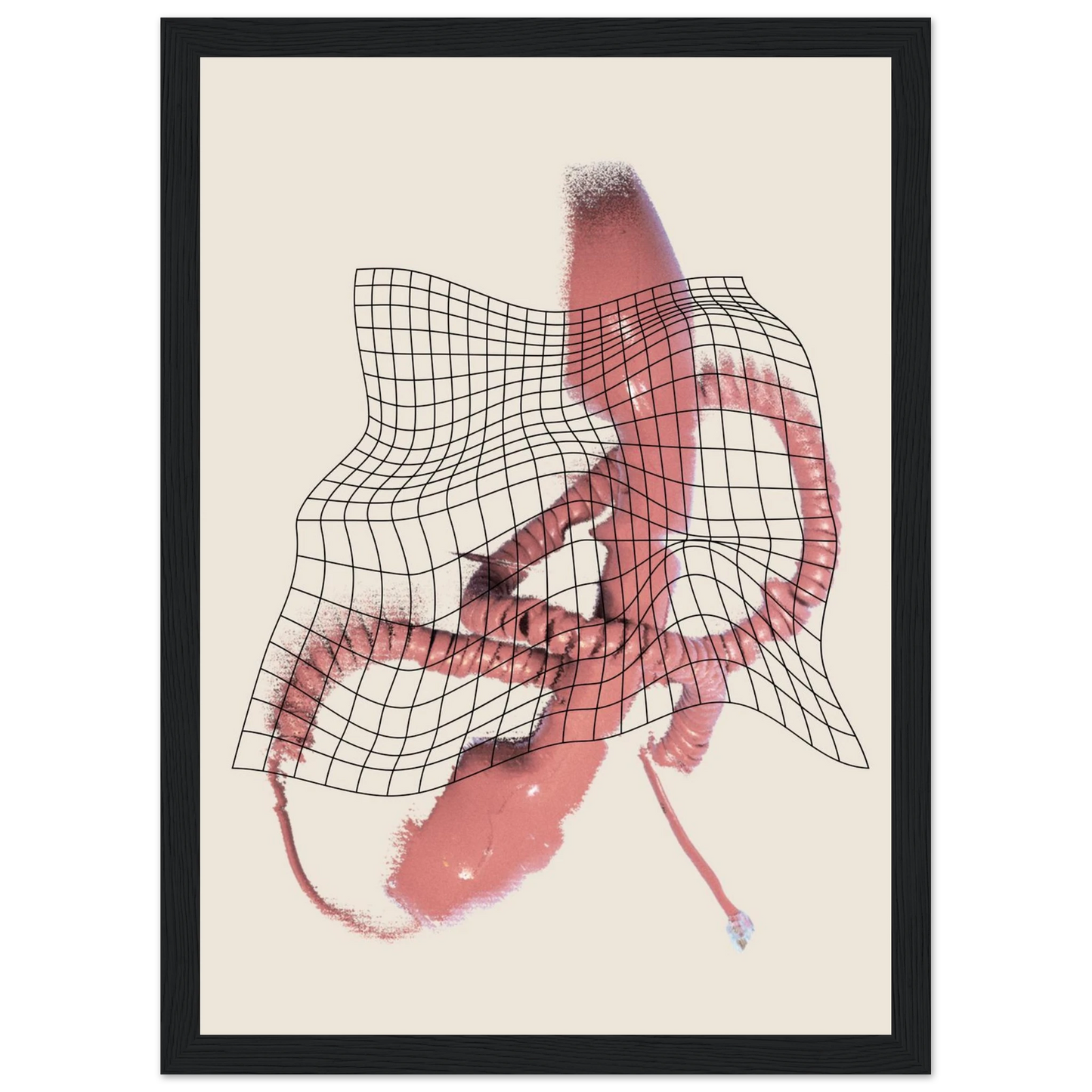 Betty calling art print in a Black frame size A1 (59.4 x 84.1  cm) affordable wall art by Art Aunty NZ