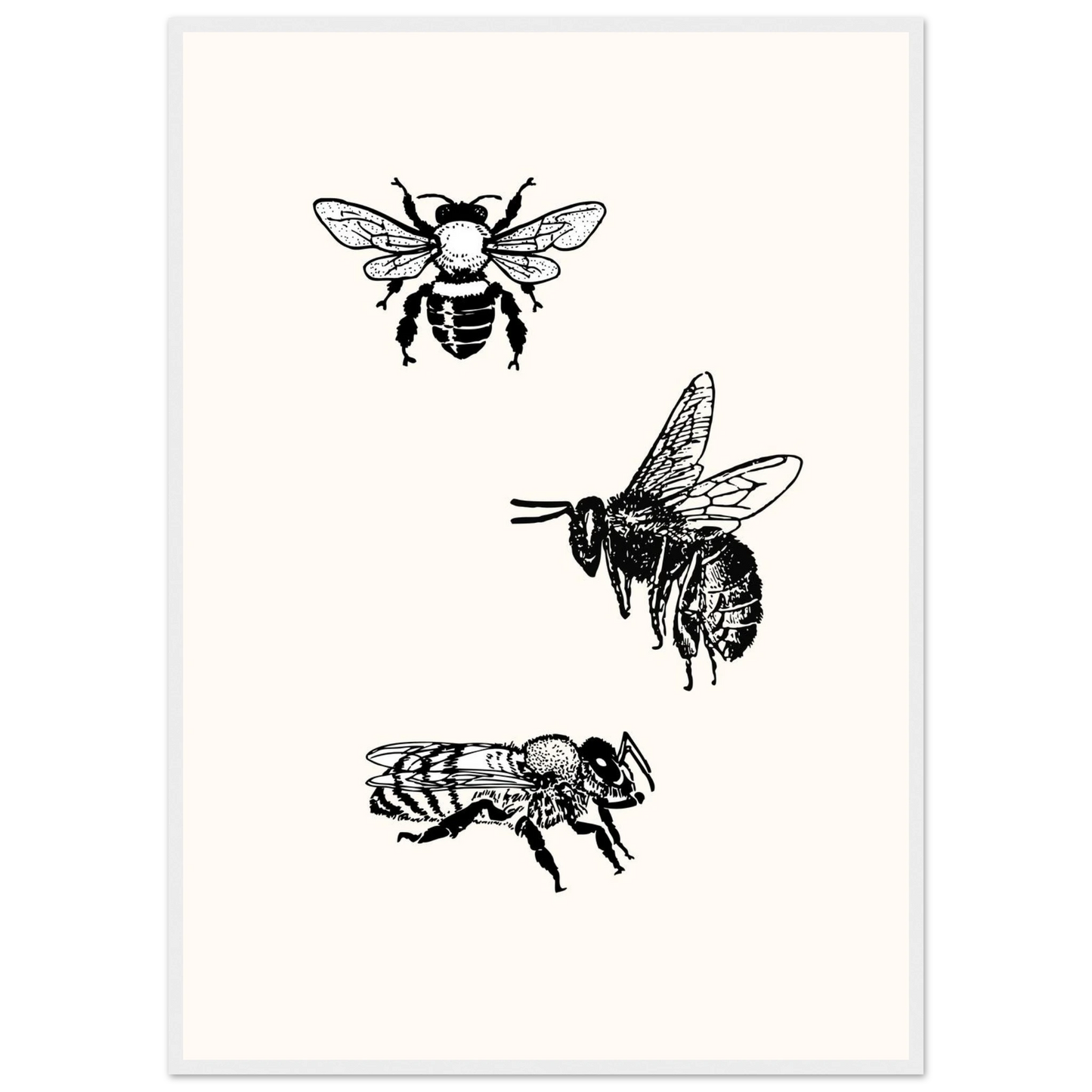 Bee mine art print in a White frame size 21x29.7 cm / 8x12" affordable wall art by Art Aunty NZ