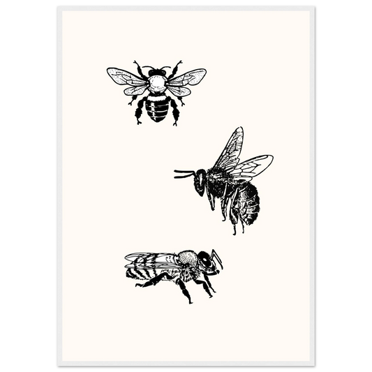 Bee mine art print in a White frame size 21x29.7 cm / 8x12" affordable wall art by Art Aunty NZ