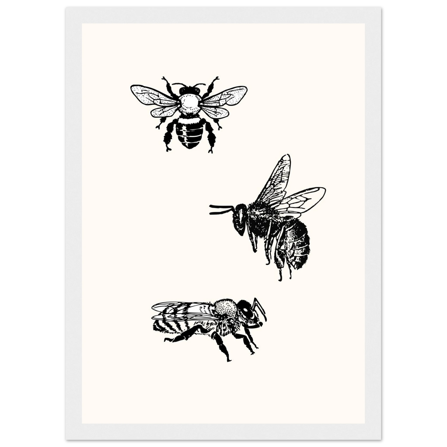 Bee mine art print in a White frame size A1 (59.4 x 84.1  cm) affordable wall art by Art Aunty NZ