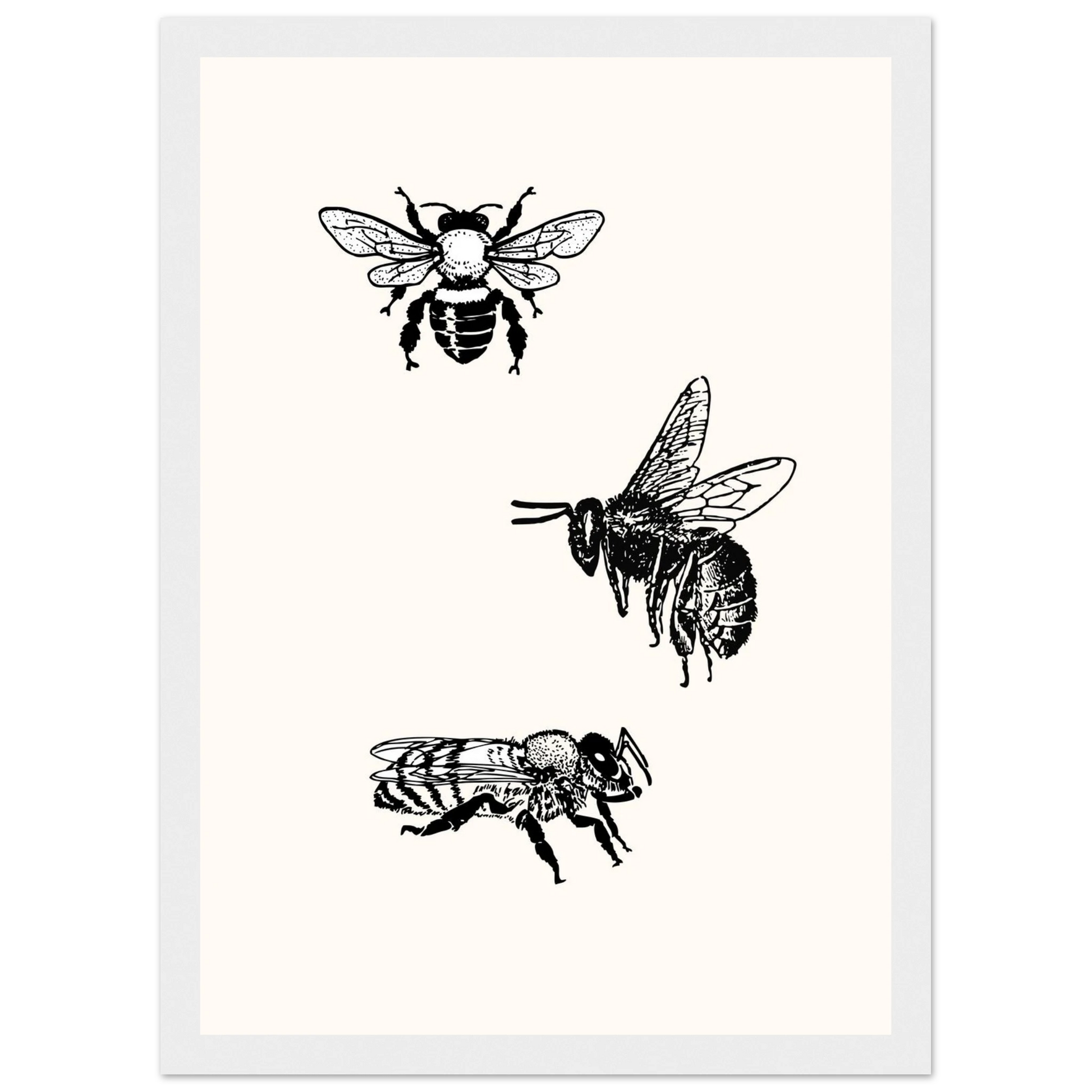 Bee mine art print in a White frame size A1 (59.4 x 84.1  cm) affordable wall art by Art Aunty NZ