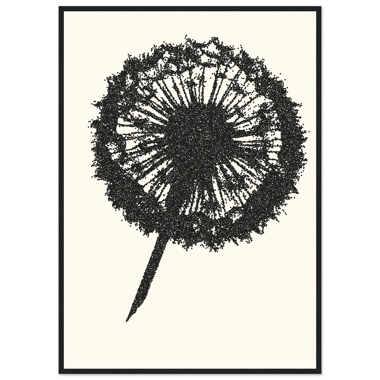 Abstract dandelion seed head art print by anya trut minimalist dot work wall decor in your choice of size frame art print in a Black frame size A2 (42 x 59.4  cm) affordable wall art by Art Aunty NZ