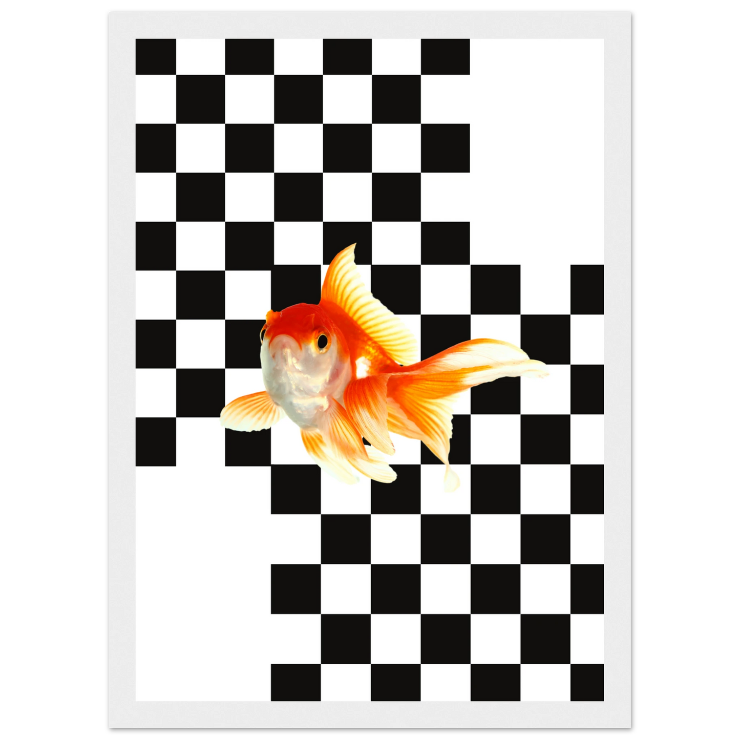Goldfish on checkerboard splash of surreal framed art print by anya trut multiple sizes frames art print in a Wood frame size A1 (59.4 x 84.1  cm) affordable wall art by Art Aunty NZ