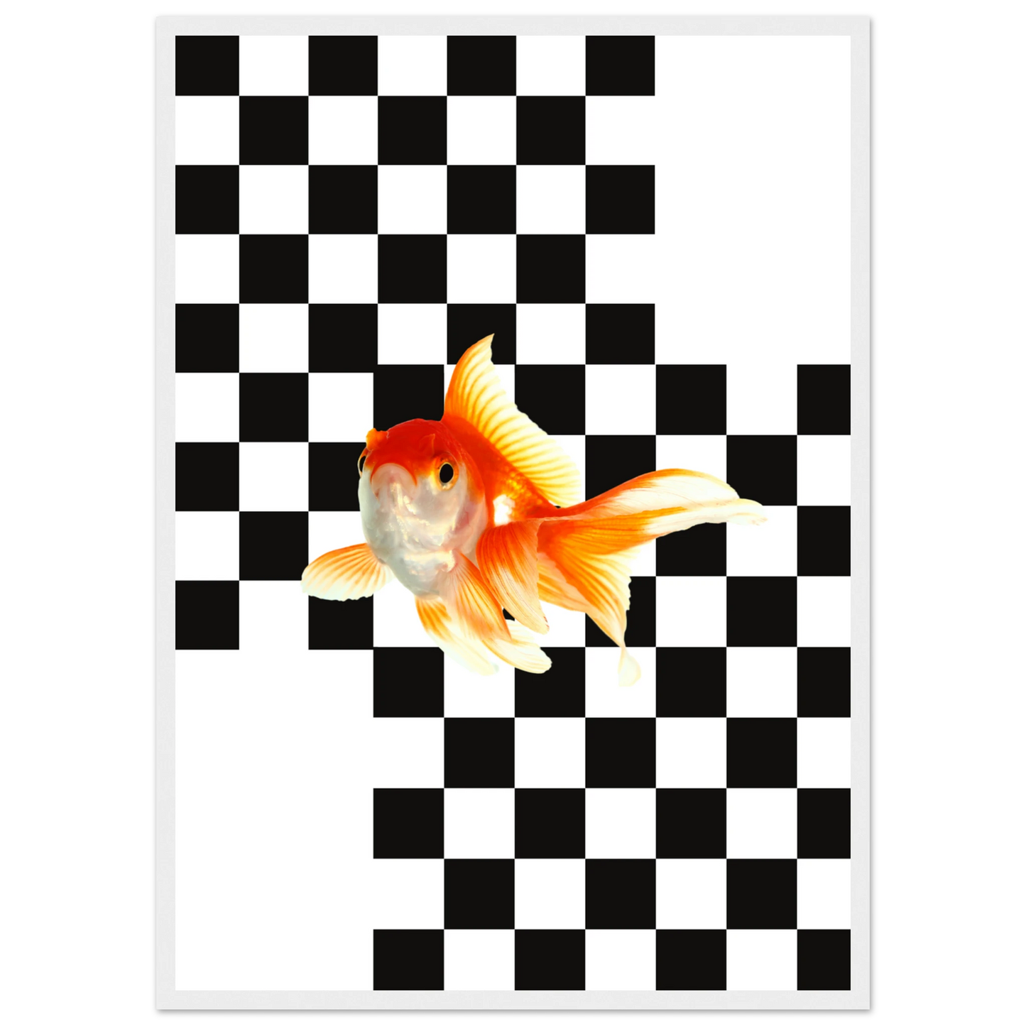 Goldfish on checkerboard splash of surreal framed art print by anya trut multiple sizes frames art print in a Wood frame size A2 (42 x 59.4  cm) affordable wall art by Art Aunty NZ