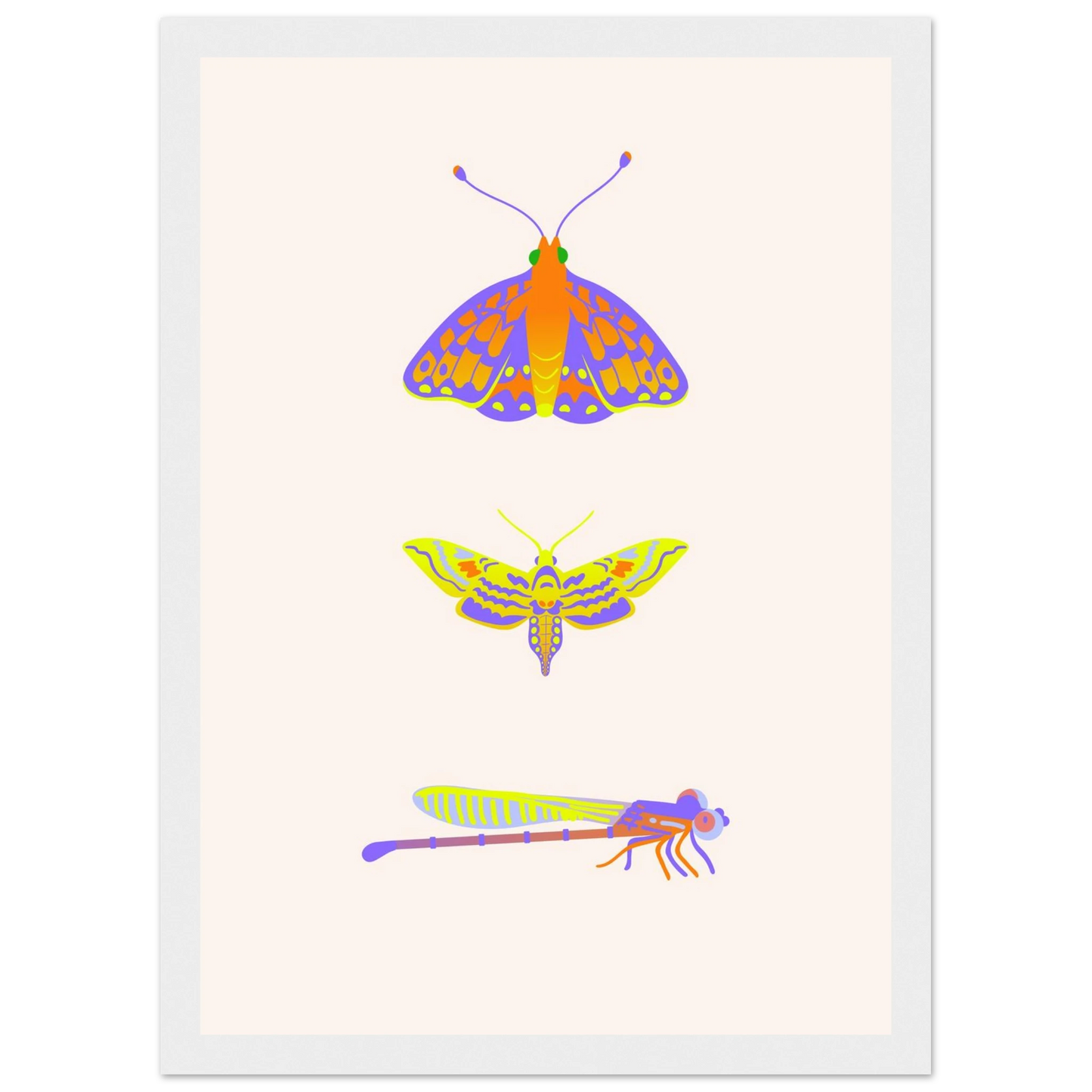 Disect art print in a Wood frame size A2 (42 x 59.4  cm) affordable wall art by Art Aunty NZ