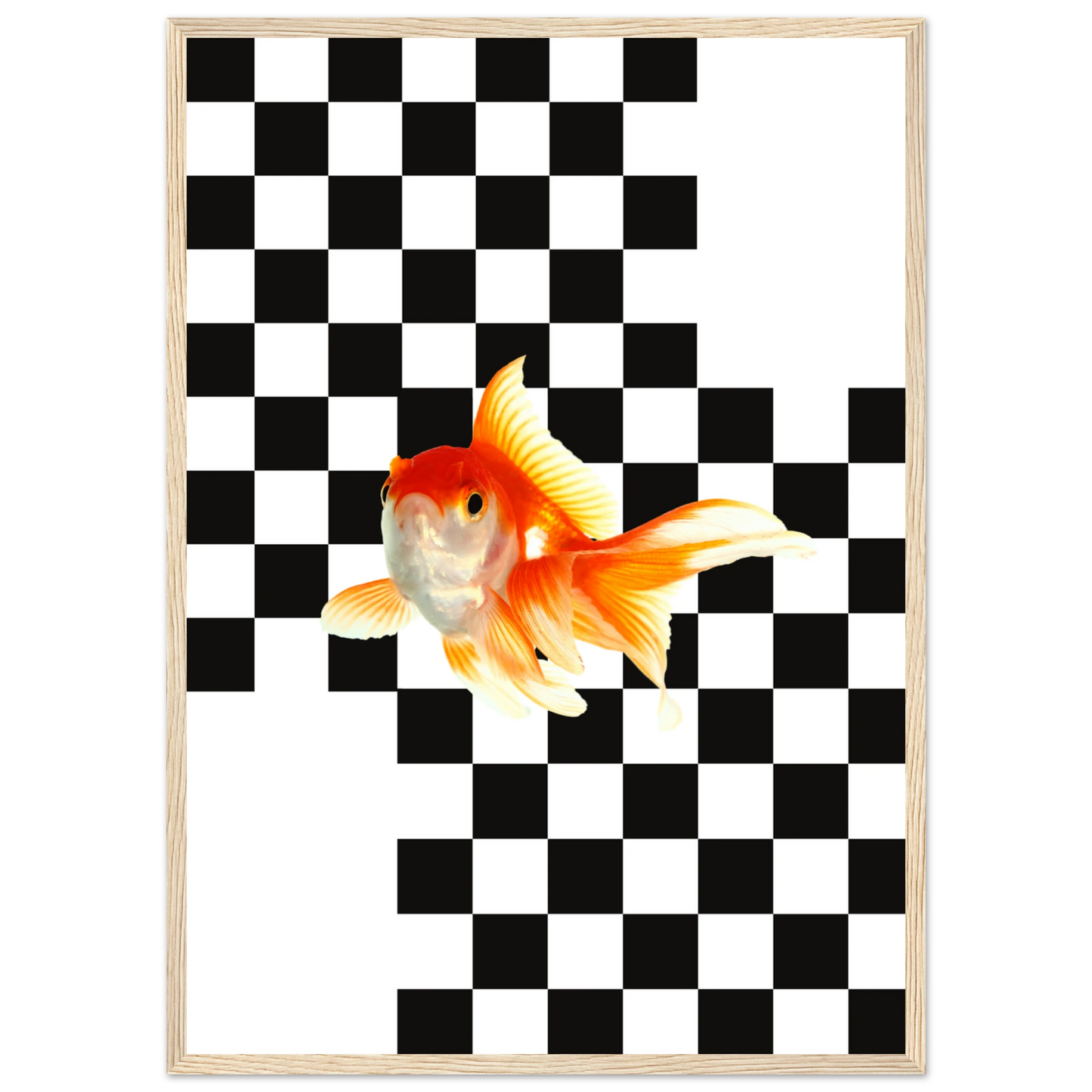 Goldfish on checkerboard splash of surreal framed art print by anya trut multiple sizes frames art print in a White frame size A1 (59.4 x 84.1  cm) affordable wall art by Art Aunty NZ