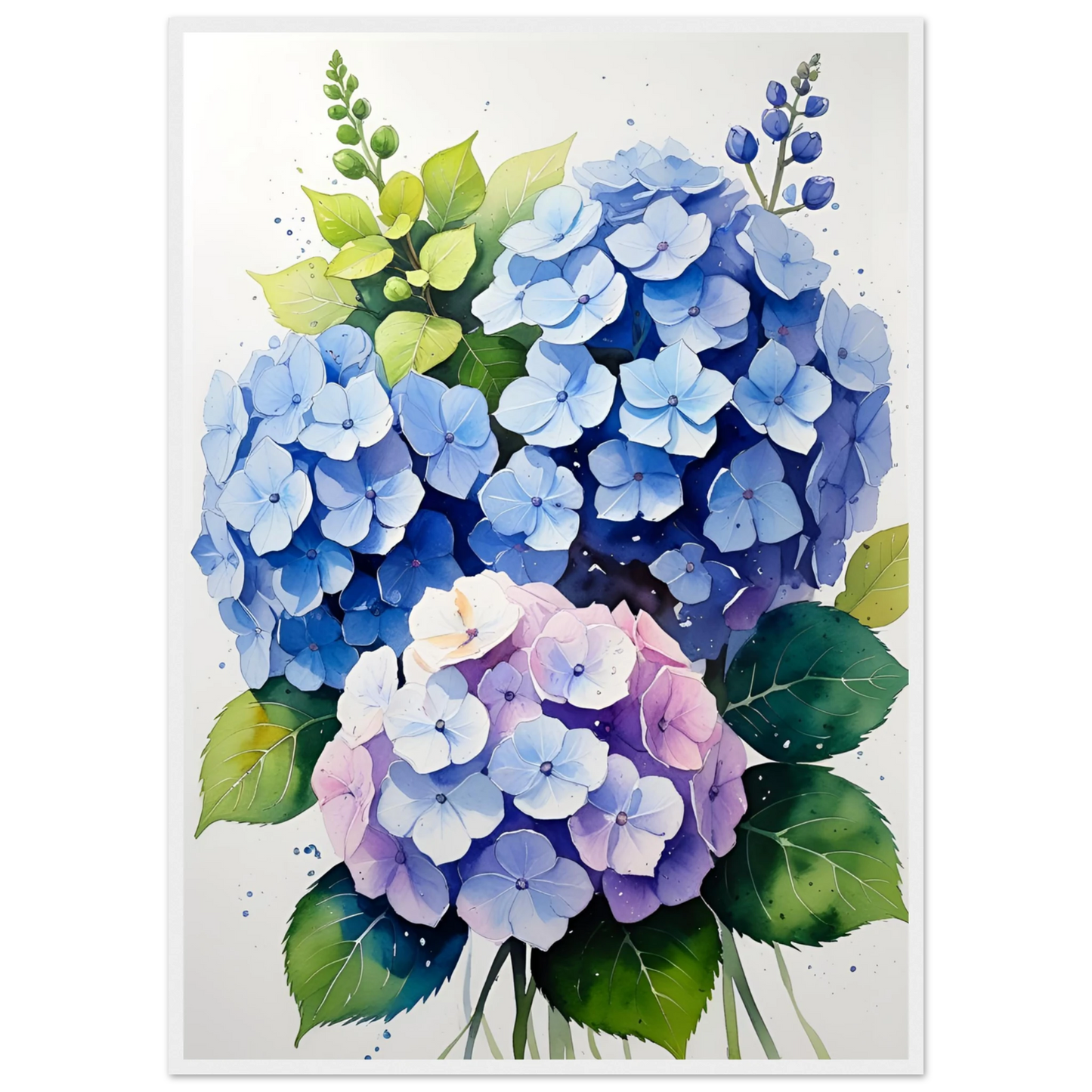 Charming blue and purple hydrangea blooms framed floral watercolor art print by anya trut art print in a White frame size 21x29.7 cm / 8x12" affordable wall art by Art Aunty NZ