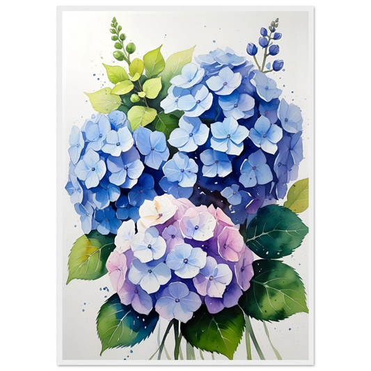 Charming blue and purple hydrangea blooms framed floral watercolor art print by anya trut art print in a White frame size 21x29.7 cm / 8x12" affordable wall art by Art Aunty NZ
