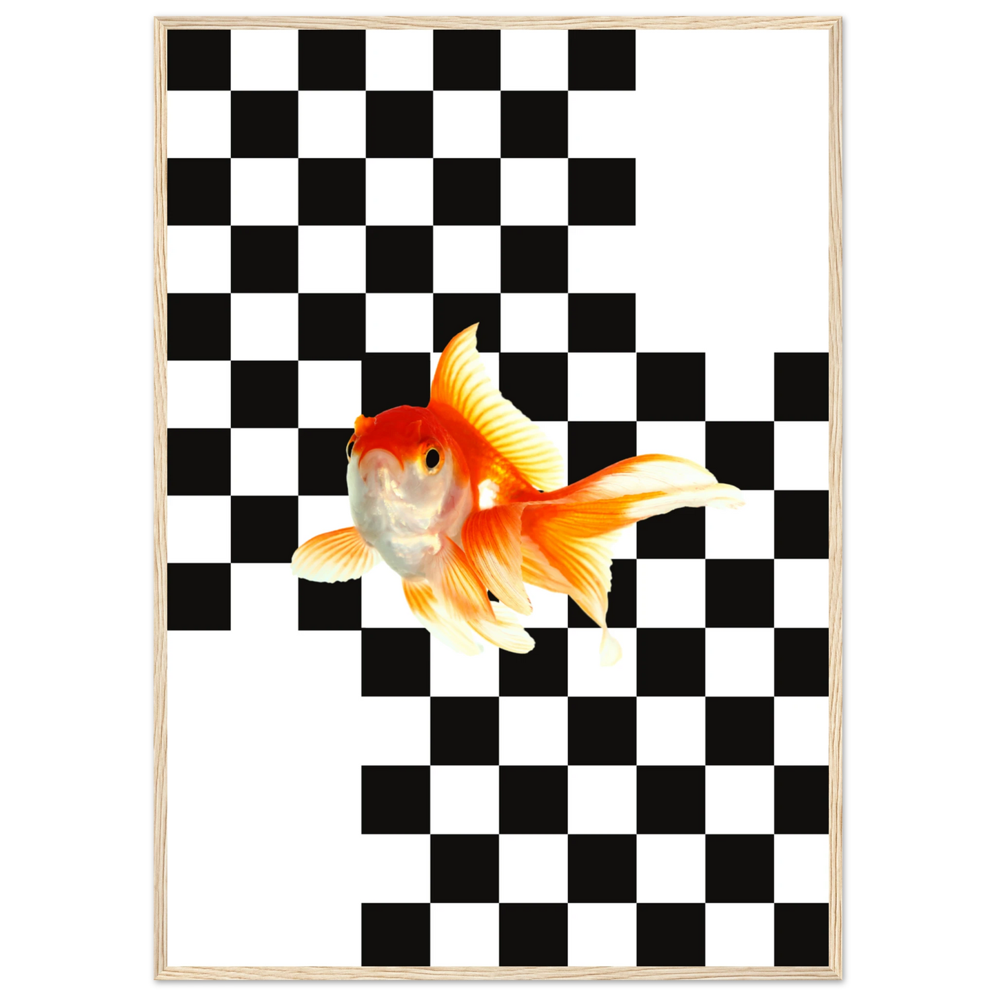 Goldfish on checkerboard splash of surreal framed art print by anya trut multiple sizes frames art print in a Black frame size A1 (59.4 x 84.1  cm) affordable wall art by Art Aunty NZ