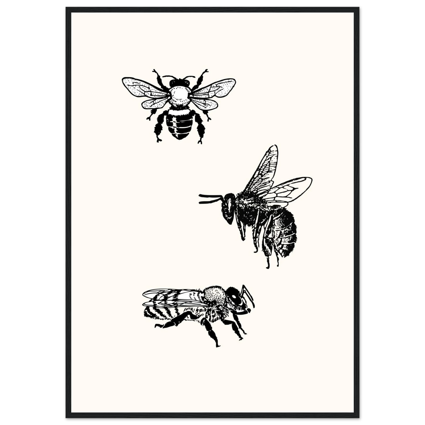Bee mine art print in a Black frame size 21x29.7 cm / 8x12" affordable wall art by Art Aunty NZ