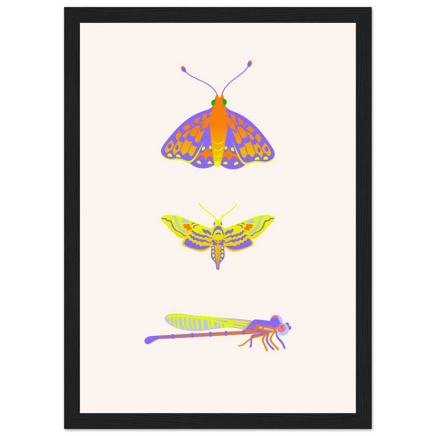 Disect art print in a Black frame size A2 (42 x 59.4  cm) affordable wall art by Art Aunty NZ