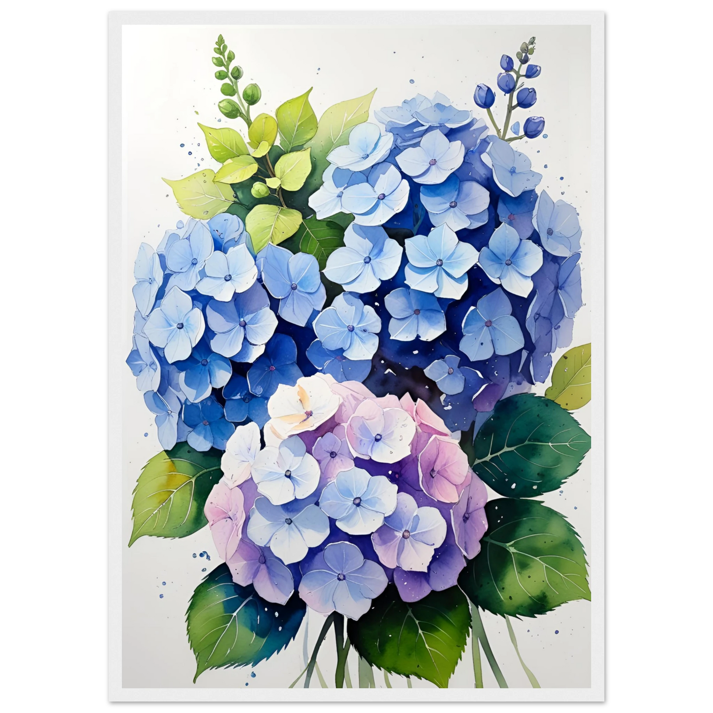 Charming blue and purple hydrangea blooms framed floral watercolor art print by anya trut art print in a Wood frame size A2 (42 x 59.4  cm) affordable wall art by Art Aunty NZ
