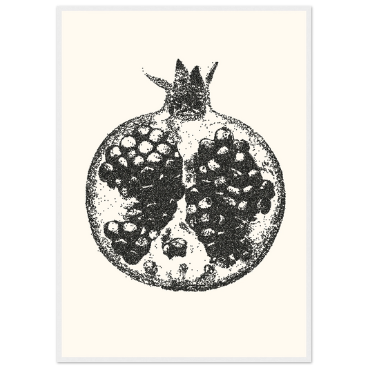 Pomegranate stipple art print by anya trut abstract dotwork fruit wall decor in your choice of frame art print in a White frame size 21x29.7 cm / 8x12" affordable wall art by Art Aunty NZ
