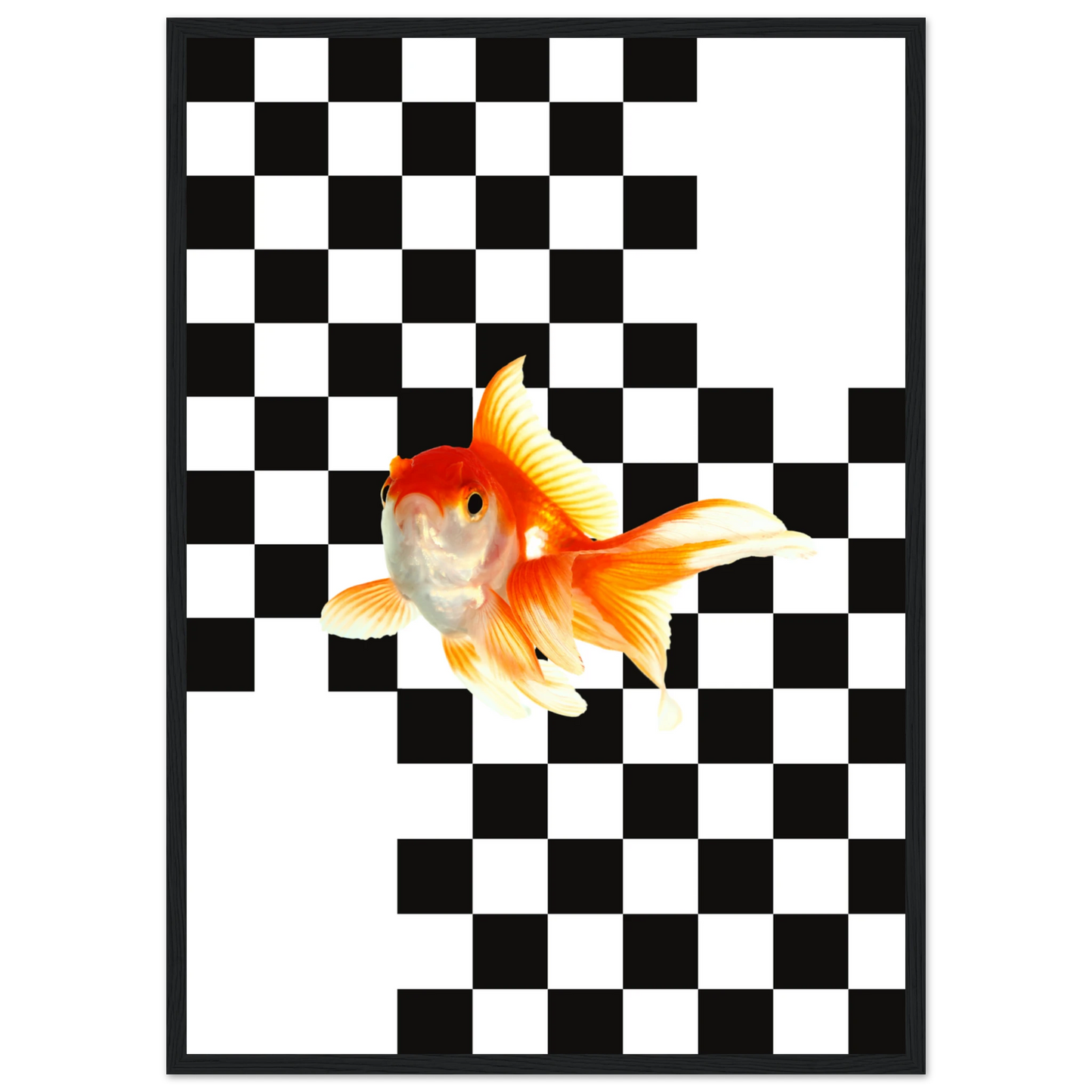 Goldfish on checkerboard splash of surreal framed art print by anya trut multiple sizes frames art print in a Wood frame size 21x29.7 cm / 8x12" affordable wall art by Art Aunty NZ