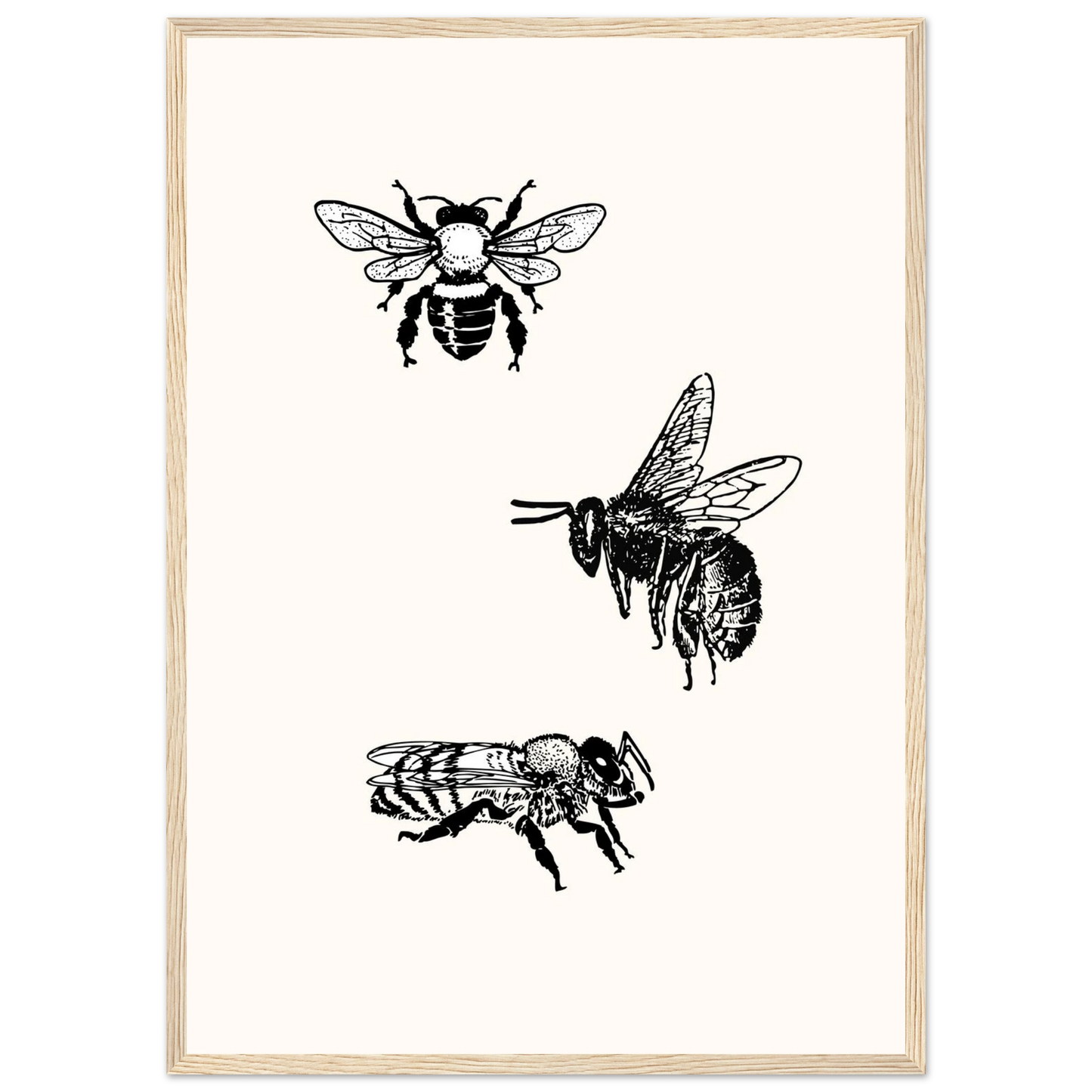 Bee mine art print in a Black frame size A2 (42 x 59.4  cm) affordable wall art by Art Aunty NZ