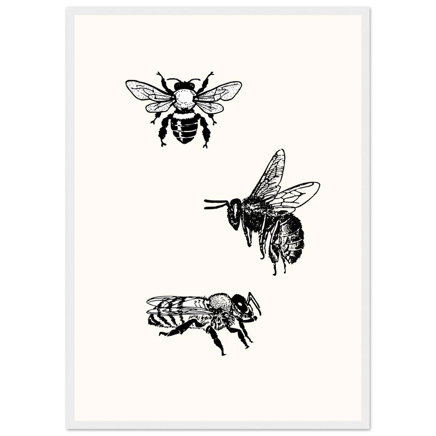 Bee mine art print in a White frame size A2 (42 x 59.4  cm) affordable wall art by Art Aunty NZ
