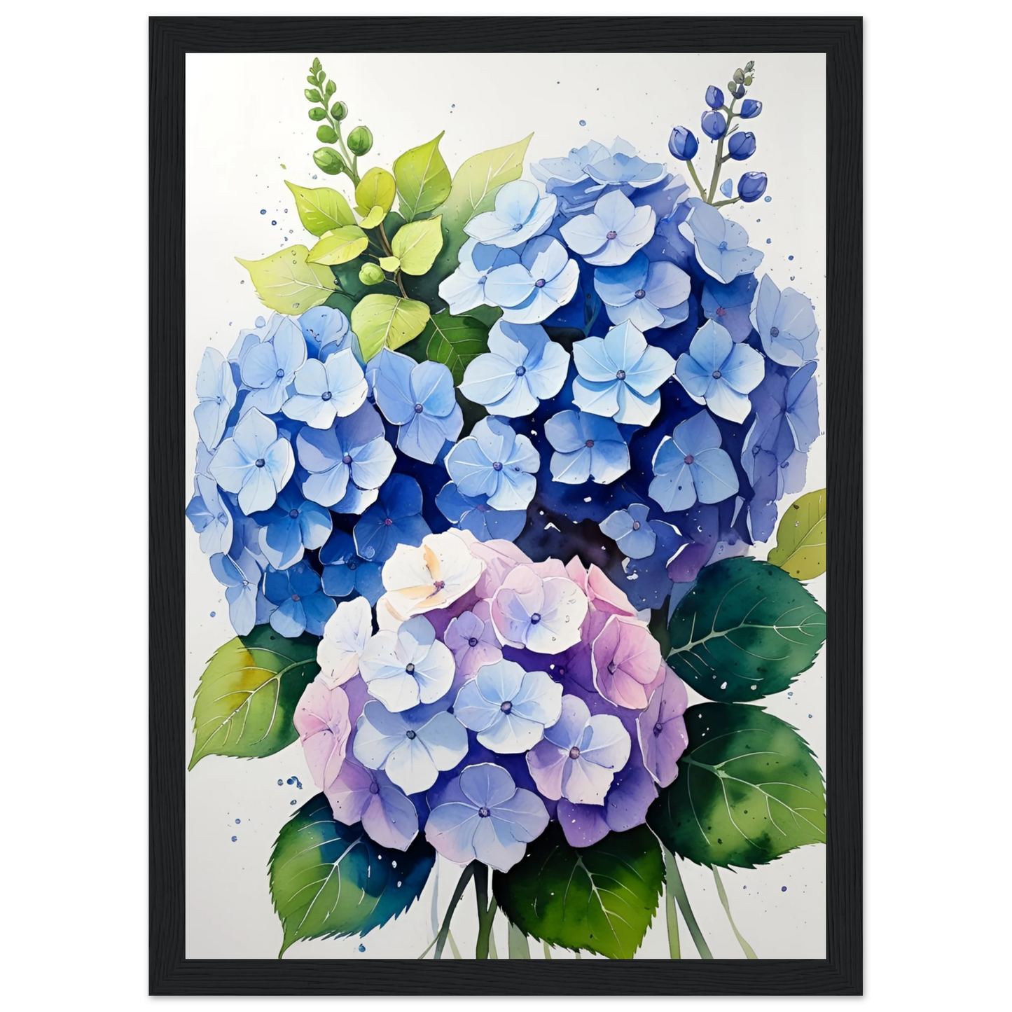 Charming blue and purple hydrangea blooms framed floral watercolor art print by anya trut art print in a White frame size A2 (42 x 59.4  cm) affordable wall art by Art Aunty NZ