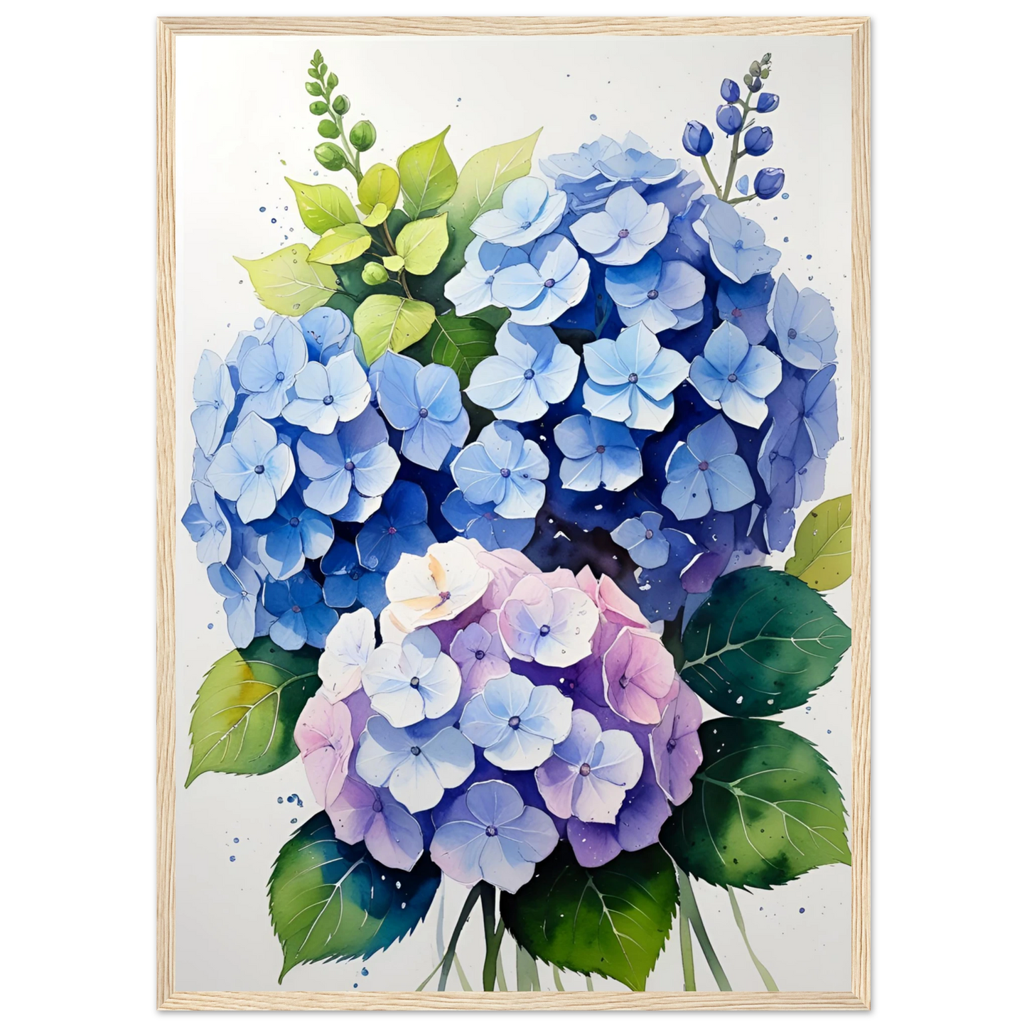 Charming blue and purple hydrangea blooms framed floral watercolor art print by anya trut art print in a White frame size A1 (59.4 x 84.1  cm) affordable wall art by Art Aunty NZ