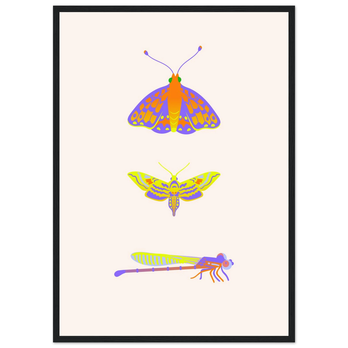 Disect art print in a Wood frame size 21x29.7 cm / 8x12" affordable wall art by Art Aunty NZ